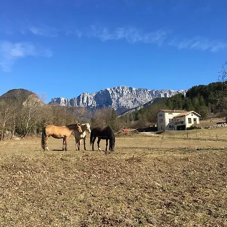 Gite D'etape D'aurouses * Die